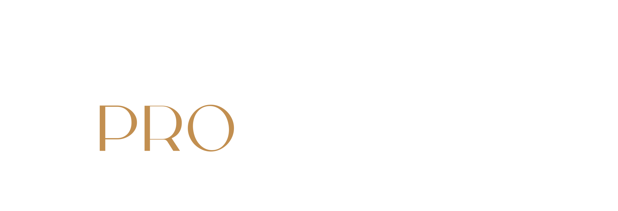Incorphore Pro Logo